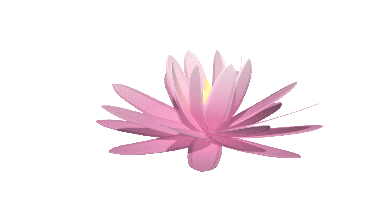 3D Rigging & Look Development